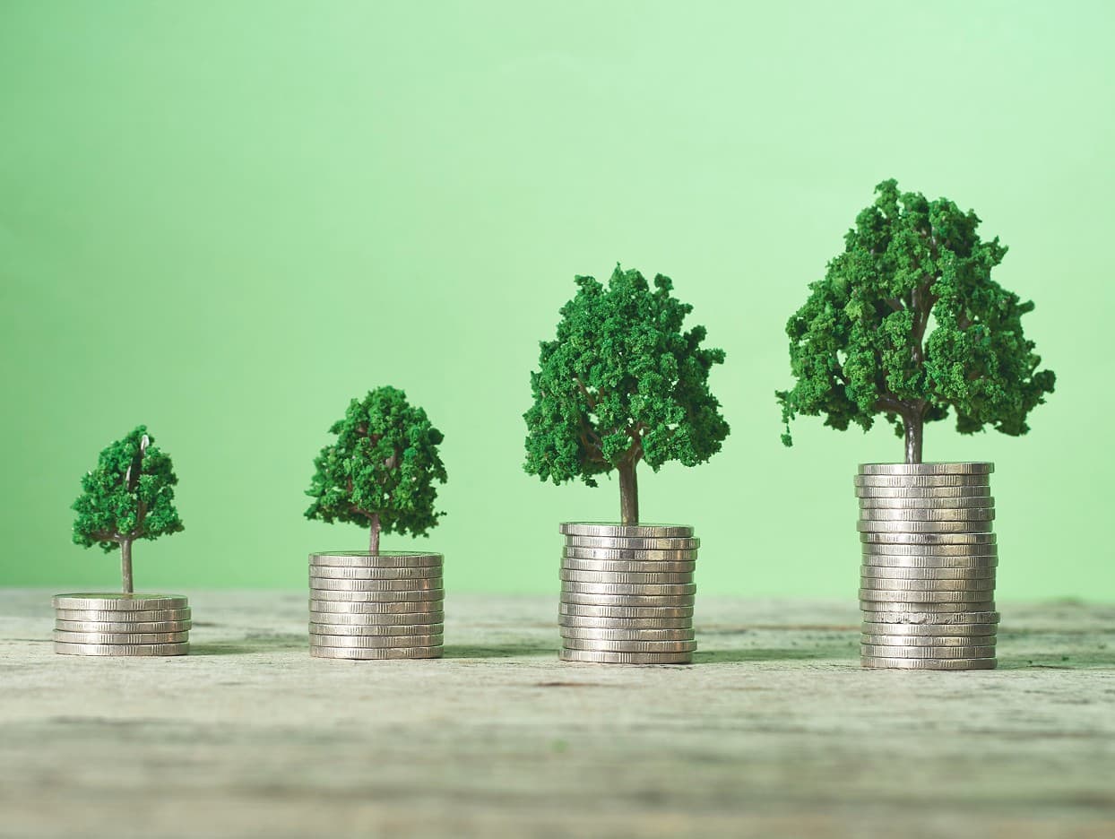 grow your wealth